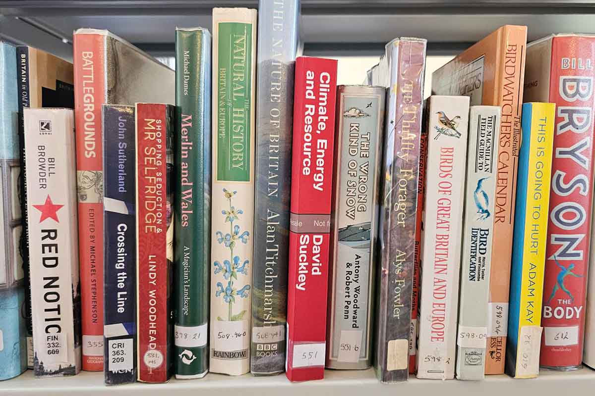 The Ipplepen Library Cafe at Ipplepen Community Hub