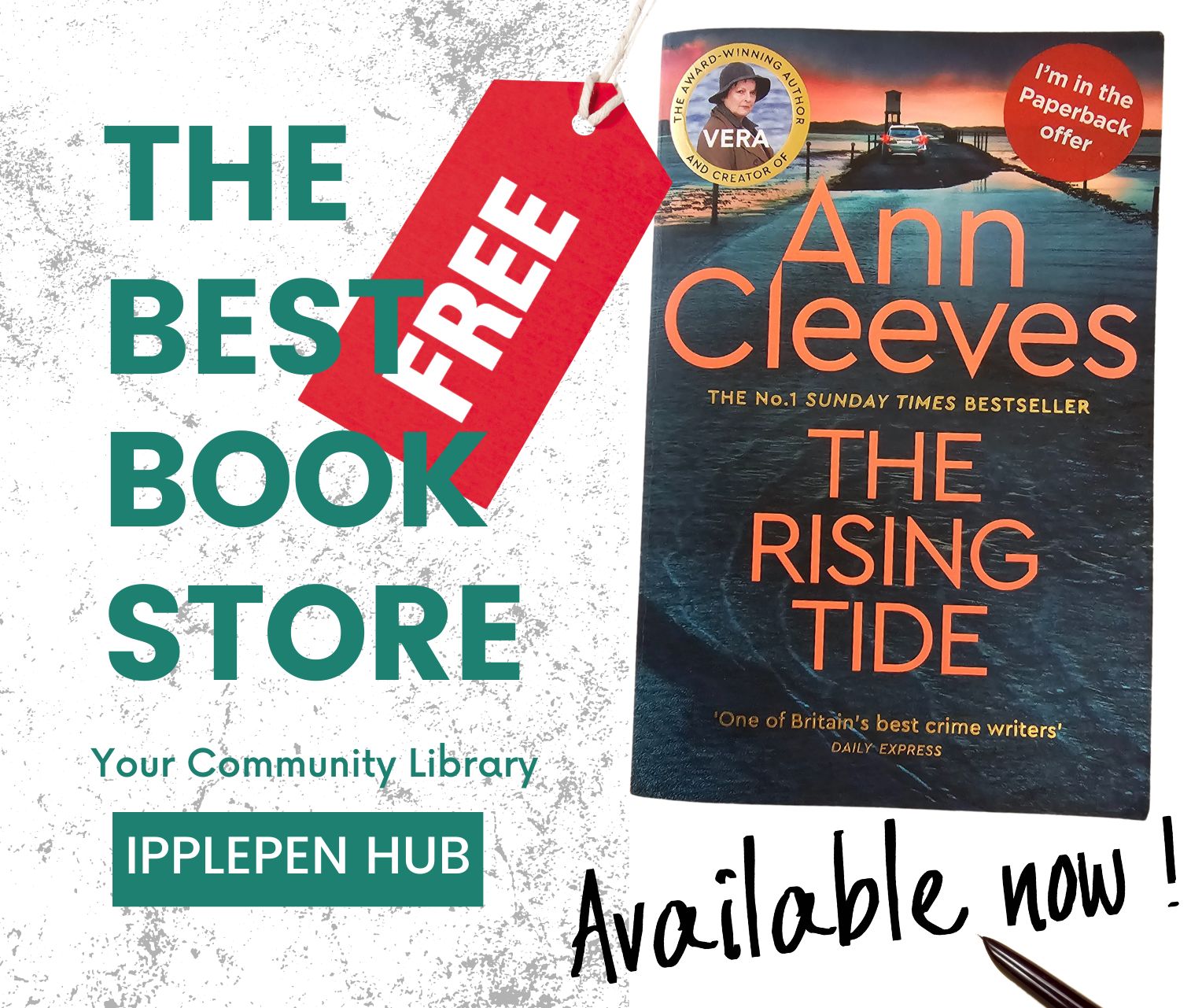 The Rising Tide at Ipplepen Hub Library